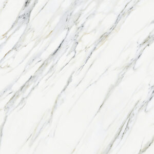 Calacatta Statuario - TP025D62